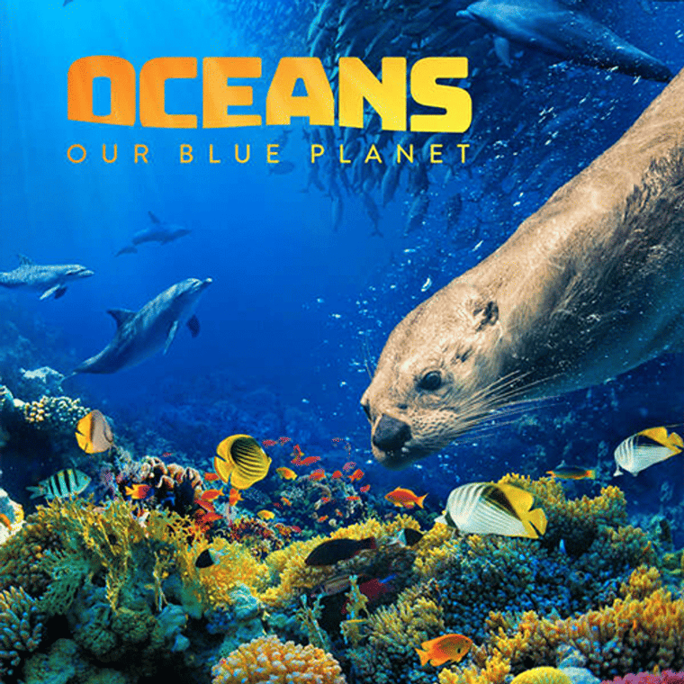 Oceans: Our Blue Planet flyer